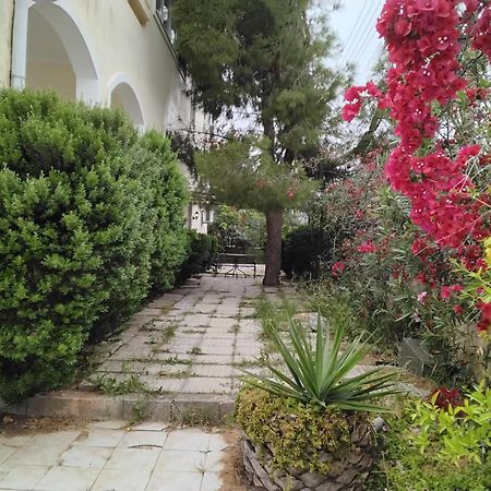Peaceful Oasis Lejlighed Athen Eksteriør billede