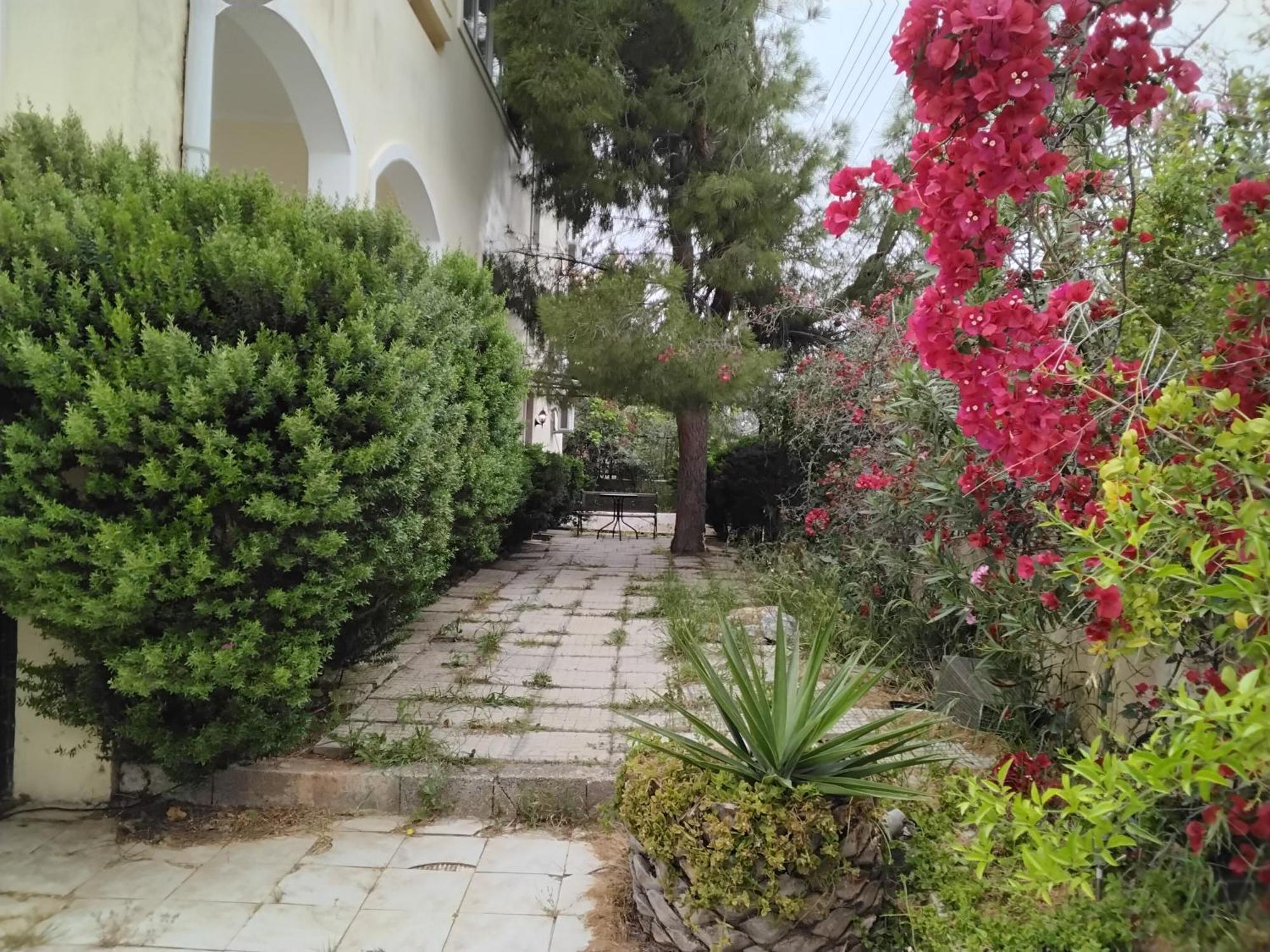 Peaceful Oasis Lejlighed Athen Eksteriør billede